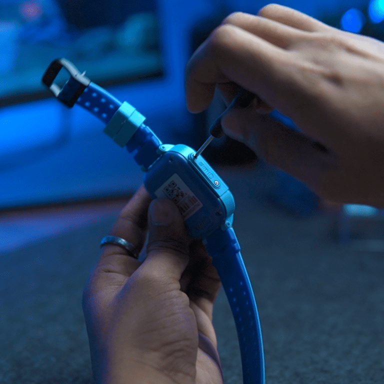 সিমের লাগানির ট্রে